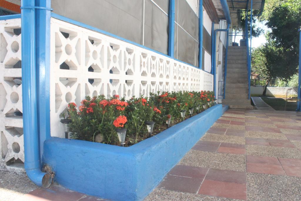 Villa Katherine ميلغار المظهر الخارجي الصورة